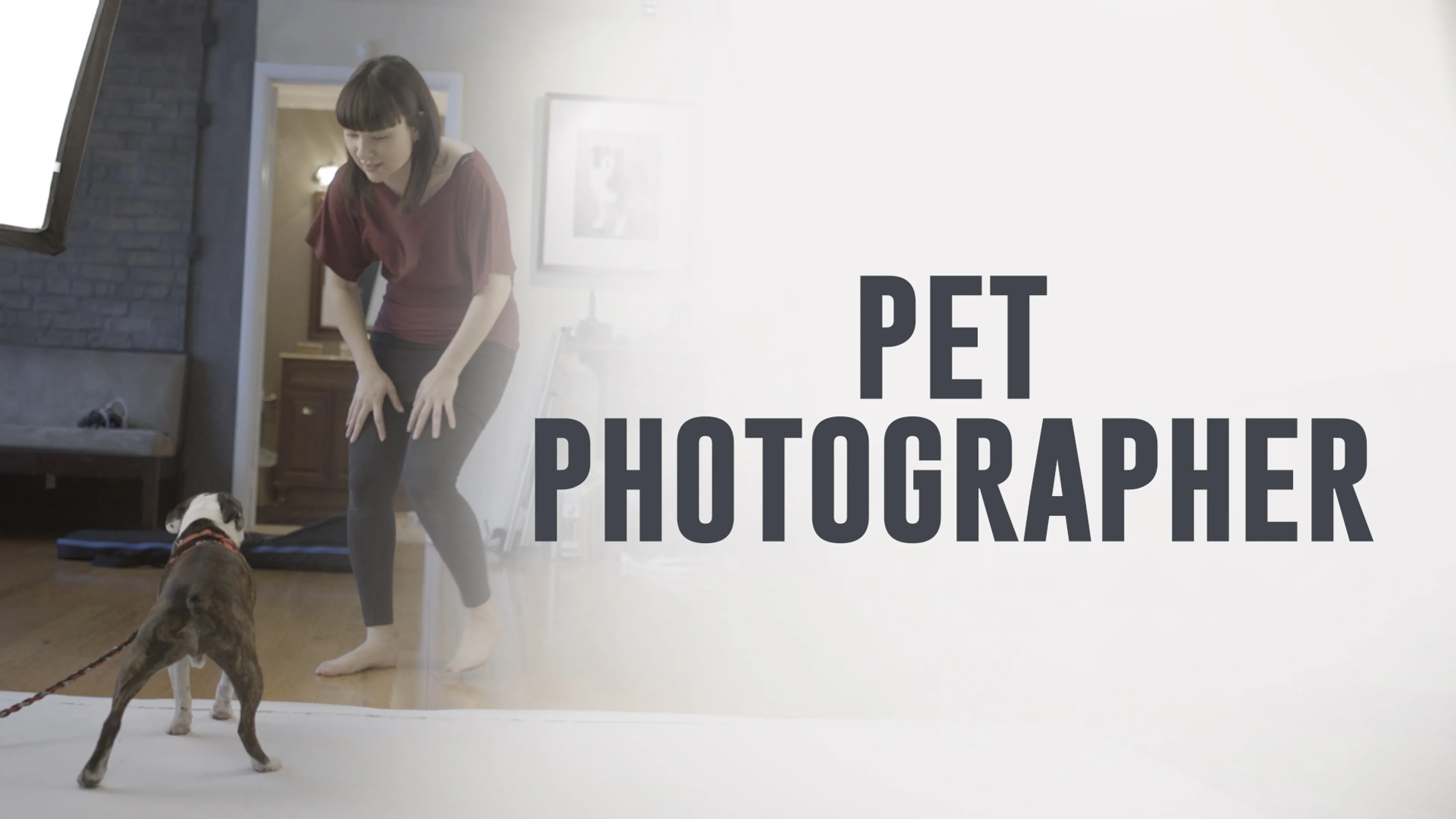 Pet Photographer poster